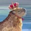 Capibara_King