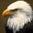 Eagled