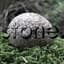 Stone