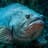 Grouper