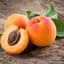 Appricott