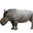 rhino