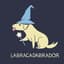 Labracadabrador