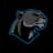 ✯Panther