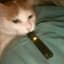 The Vaping Cat