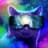 coolgalaxycat11