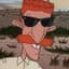 Nigel Thornberry