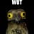 Mr.PotoO