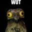 Mr.PotoO