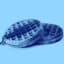 BlueWaffle69