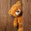 Teddy