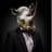 Mr_Rhino