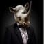 Mr_Rhino