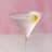Martini