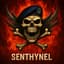 Senthynel