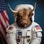 Space Cow