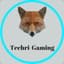 Techri-Gaming