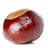 chestnut