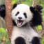 Happy Panda