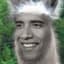 Barack O'llama