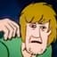 Shaggy Rogers