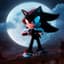 Shadow The Hedgehog