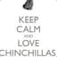 ChinchillaTime