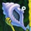 TheMagicConch