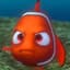 The Angry Nemo
