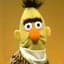 Bert