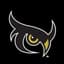 NightOwls