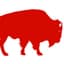 BuffaloRed.460