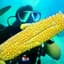 ScubaCorn