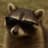 MrRaccoon