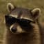 MrRaccoon