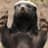 HoneyBadger