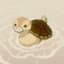 turtleduck