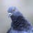 Pigeon Man