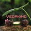 Vegaking72
