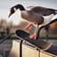 Goose!