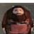 Ps2 hagrid