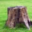 Stump
