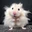[-ED-]Gestoerterhamster