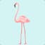 [fll.fi] Flamingo
