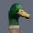 EricTheDuck