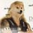 DogeTheBountyHunter