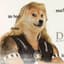 DogeTheBountyHunter