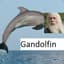 Gandolfin