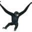 Bipedal Gibbon