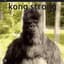 KongStrong